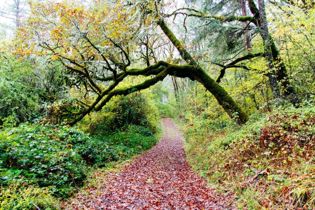 Maromme par nature